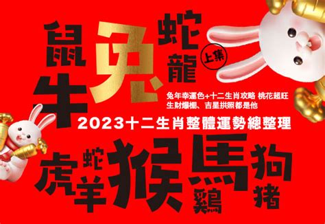 2023兔年幸運色|2023兔年十二生肖幸運色公開！日本命理師揭密3顏色。